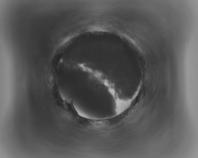 X0000111461303200908101046