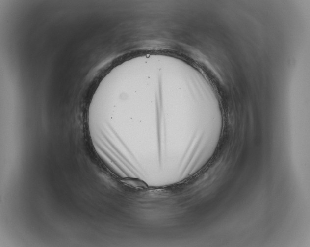 X0000111461304200908101046