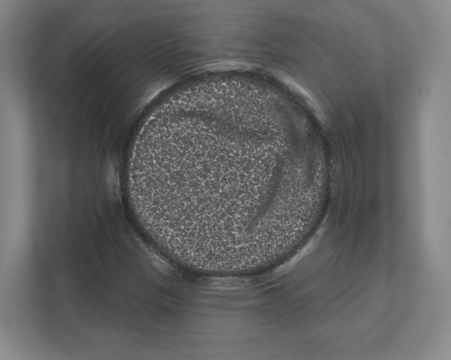 X0000111461305200908101046