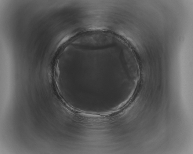 X0000111461306200908101046