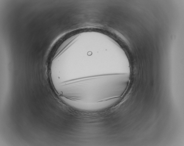 X0000111461310200908101046