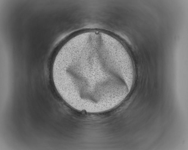 X0000111461311200908101046