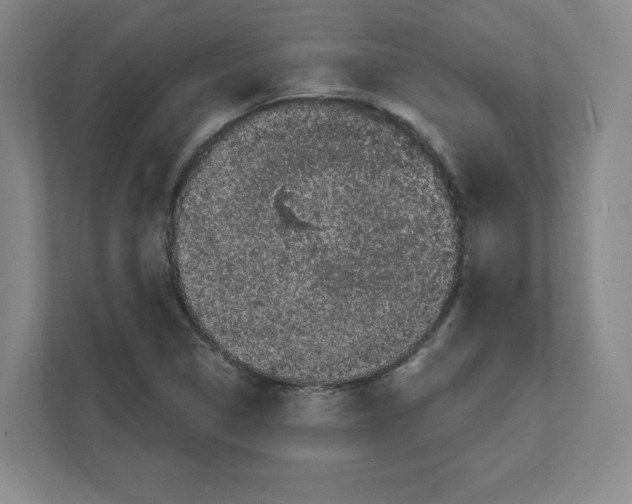 X0000111461314200908101046