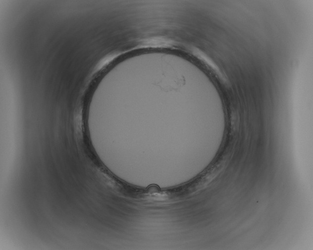 X0000111461315200908101046