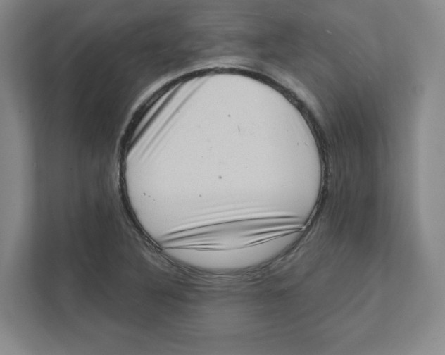 X0000111461316200908101046