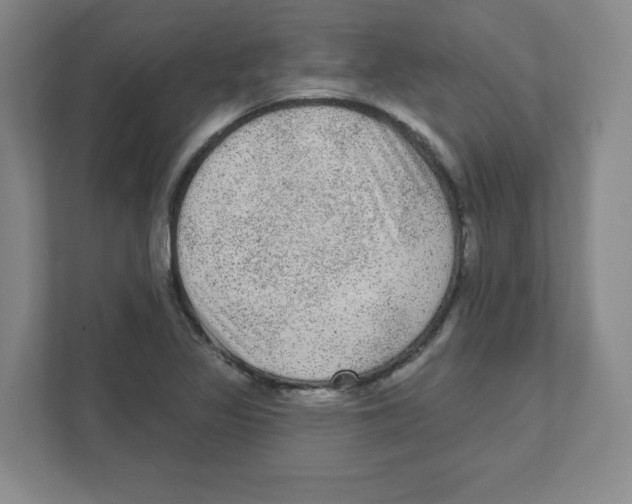 X0000111461317200908101046