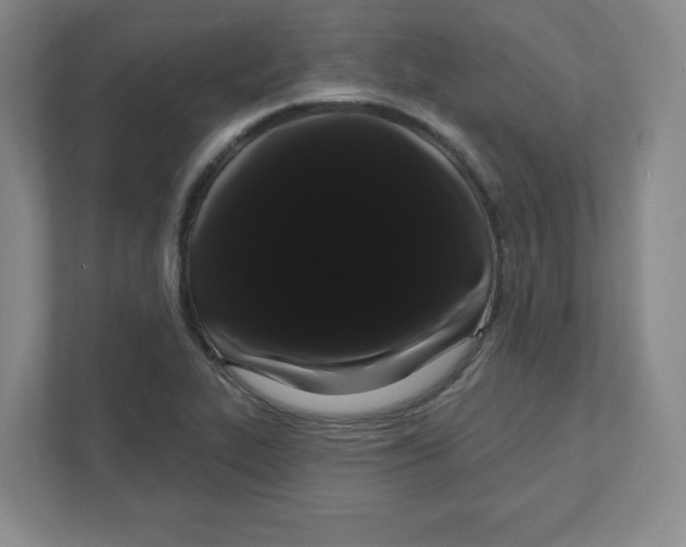 X0000111461319200908101047