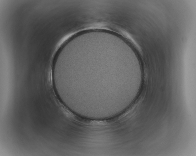 X0000111461320200908101047