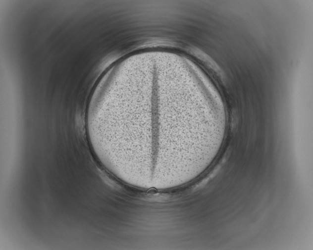 X0000111461321200908101047