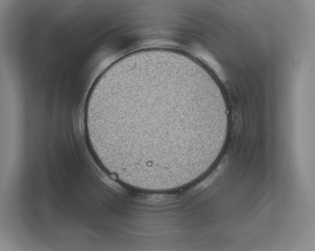 X0000111461322200908101047
