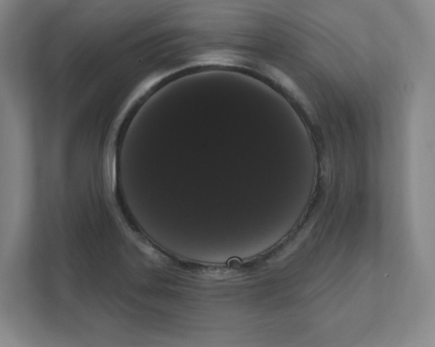 X0000111461323200908101047