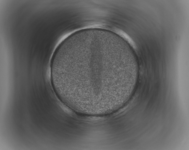 X0000111461324200908101047