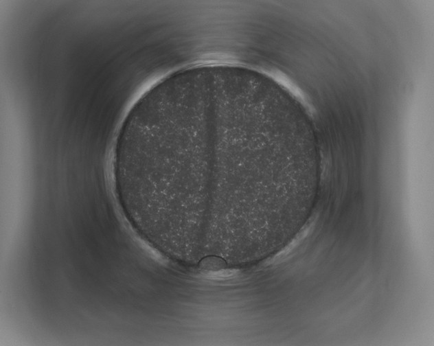 X0000111461325200908101047