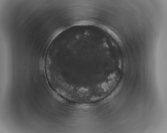 X0000111461329200908101047