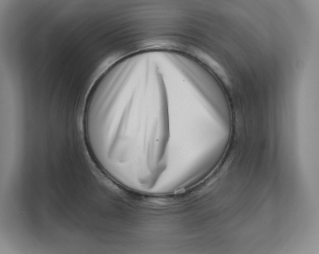 X0000111461330200908101047