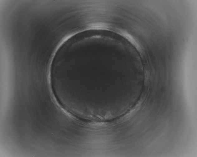 X0000111461331200908101047