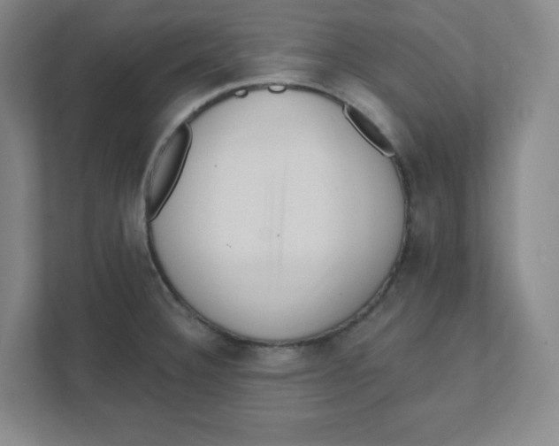 X0000111461332200908101047