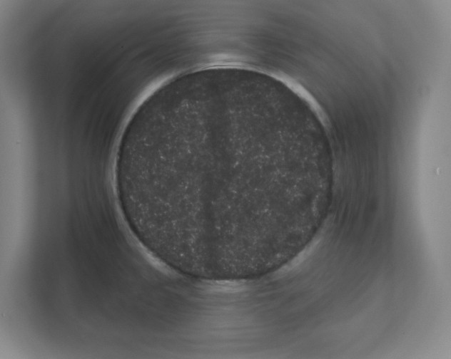 X0000111461333200908101047