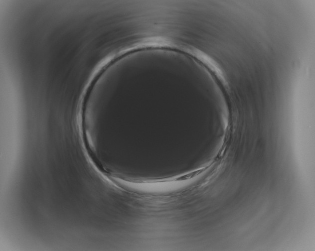 X0000111461334200908101047