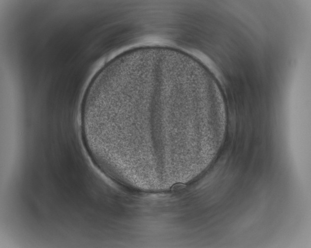 X0000111461335200908101047
