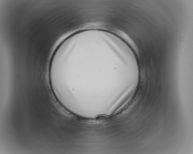 X0000111461336200908101047