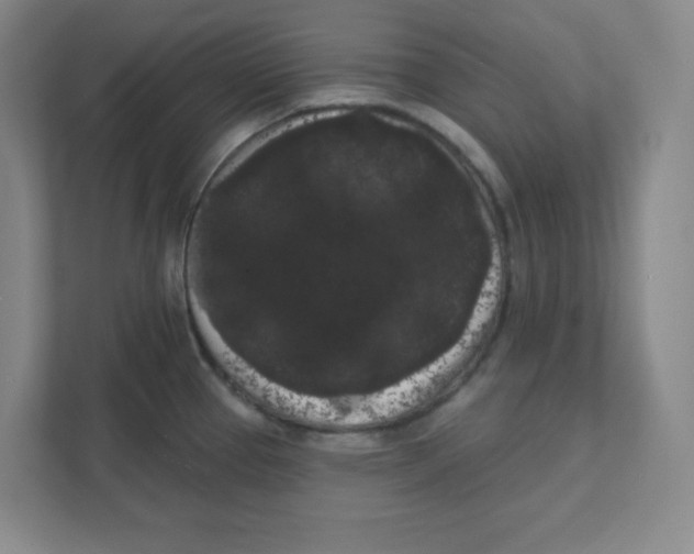 X0000111461337200908101047
