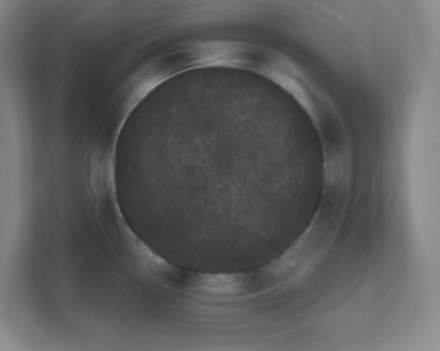 X0000111461338200908101047