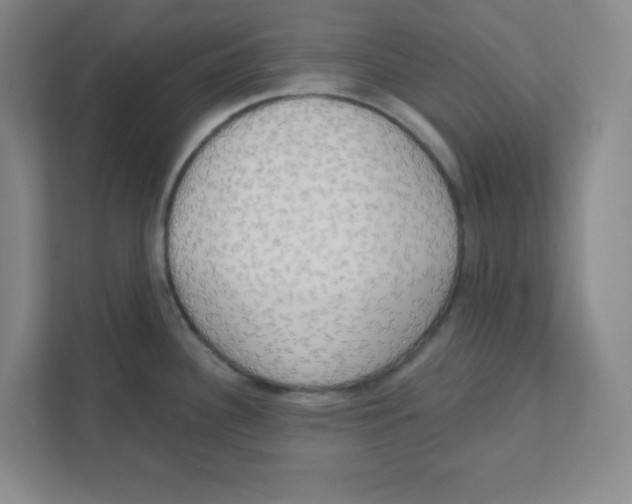 X0000111461340200908101047