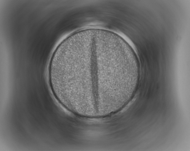 X0000111461341200908101047