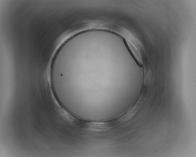 X0000111461342200908101047