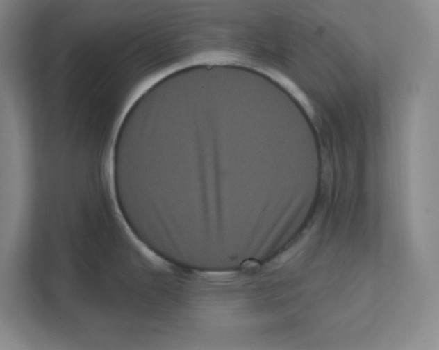 X0000111461343200908101047