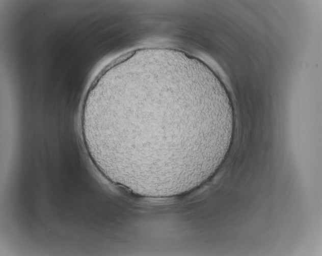 X0000111461344200908101047
