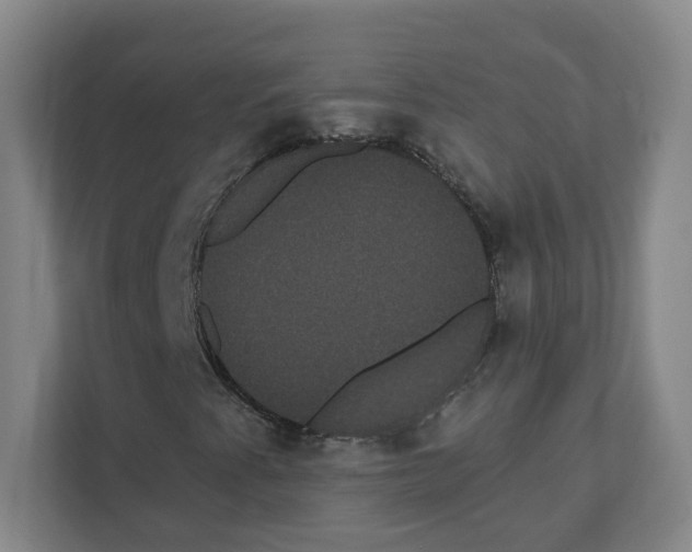 X0000111461345200908101046