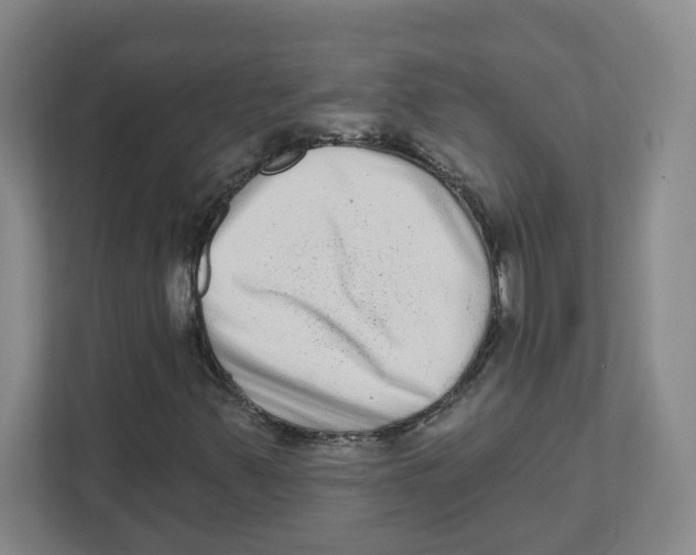 X0000111461347200908101046