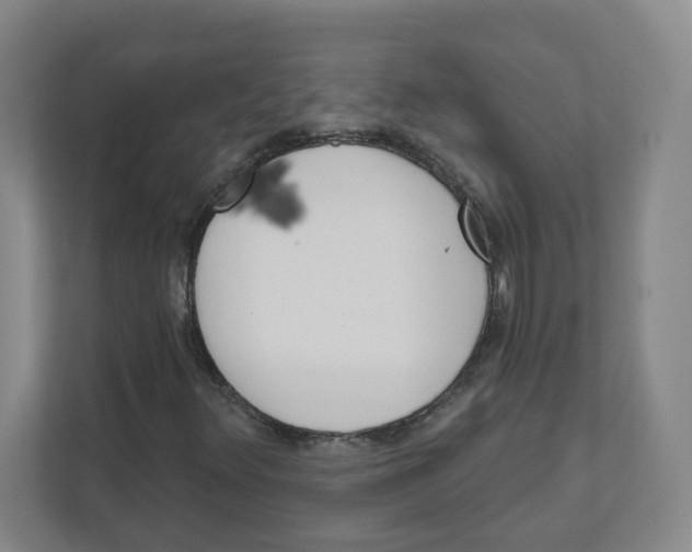 X0000111461348200908101046