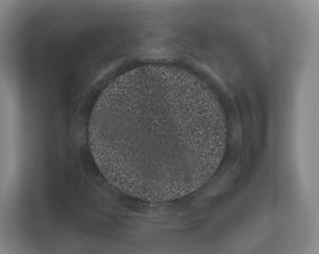 X0000111461350200908101046