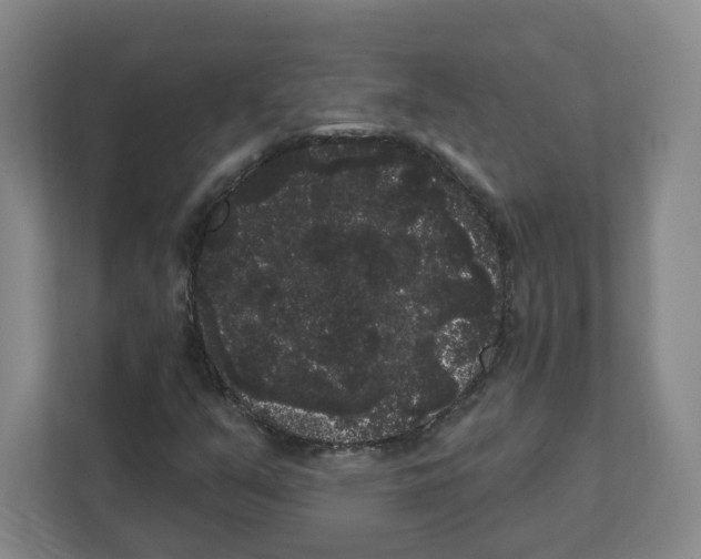 X0000111461351200908101046