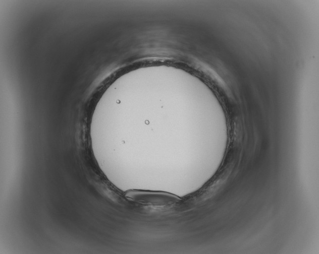 X0000111461352200908101046