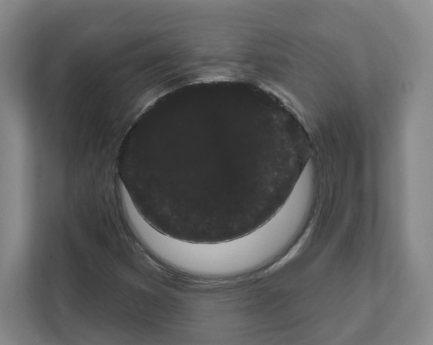 X0000111461353200908101046