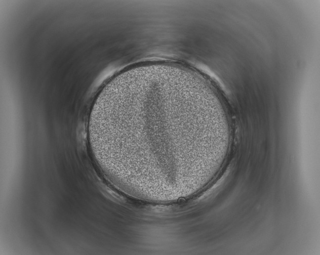 X0000111461355200908101046