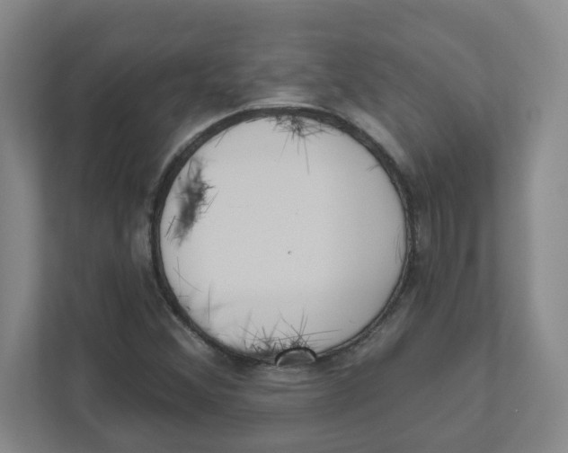 X0000111461356200908101046