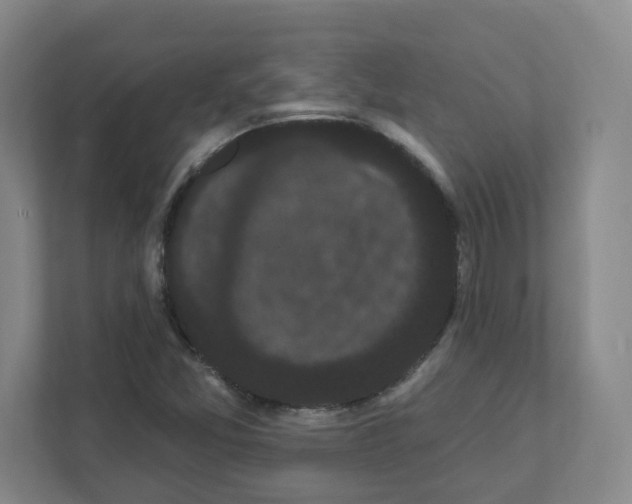 X0000111461357200908101046