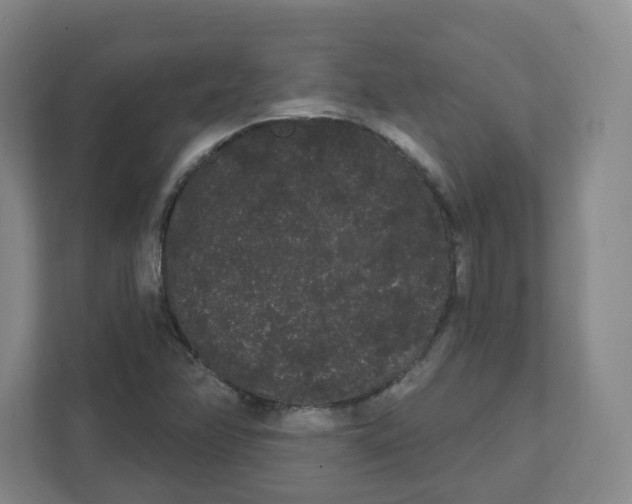 X0000111461358200908101046