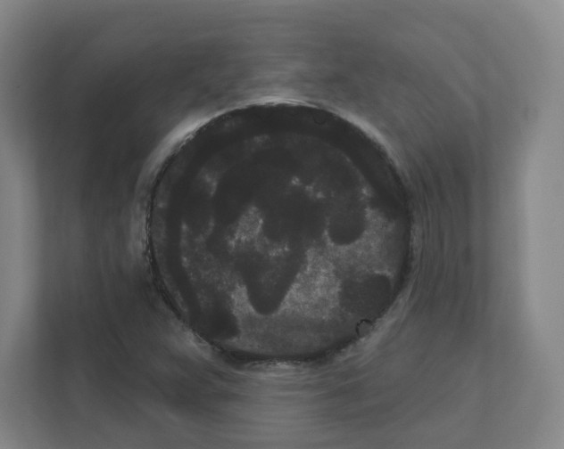 X0000111461359200908101046