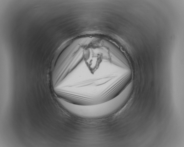 X0000111461361200908101046