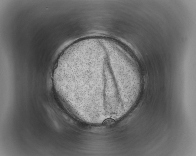 X0000111461363200908101046