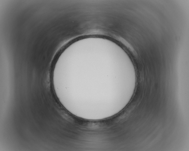 X0000111461364200908101046