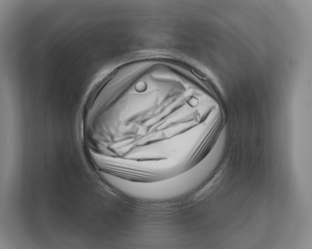 X0000111461365200908101046
