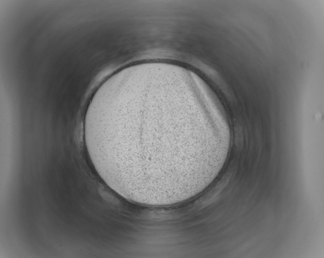 X0000111461366200908101046