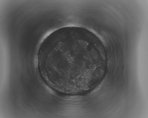 X0000111461367200908101046